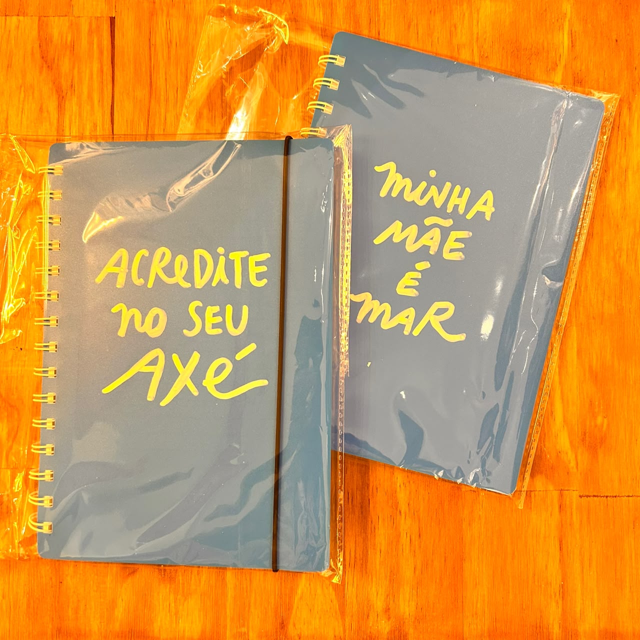 CAMILA ALEMANY CADERNO CAPA PLASTICO E FRASES U