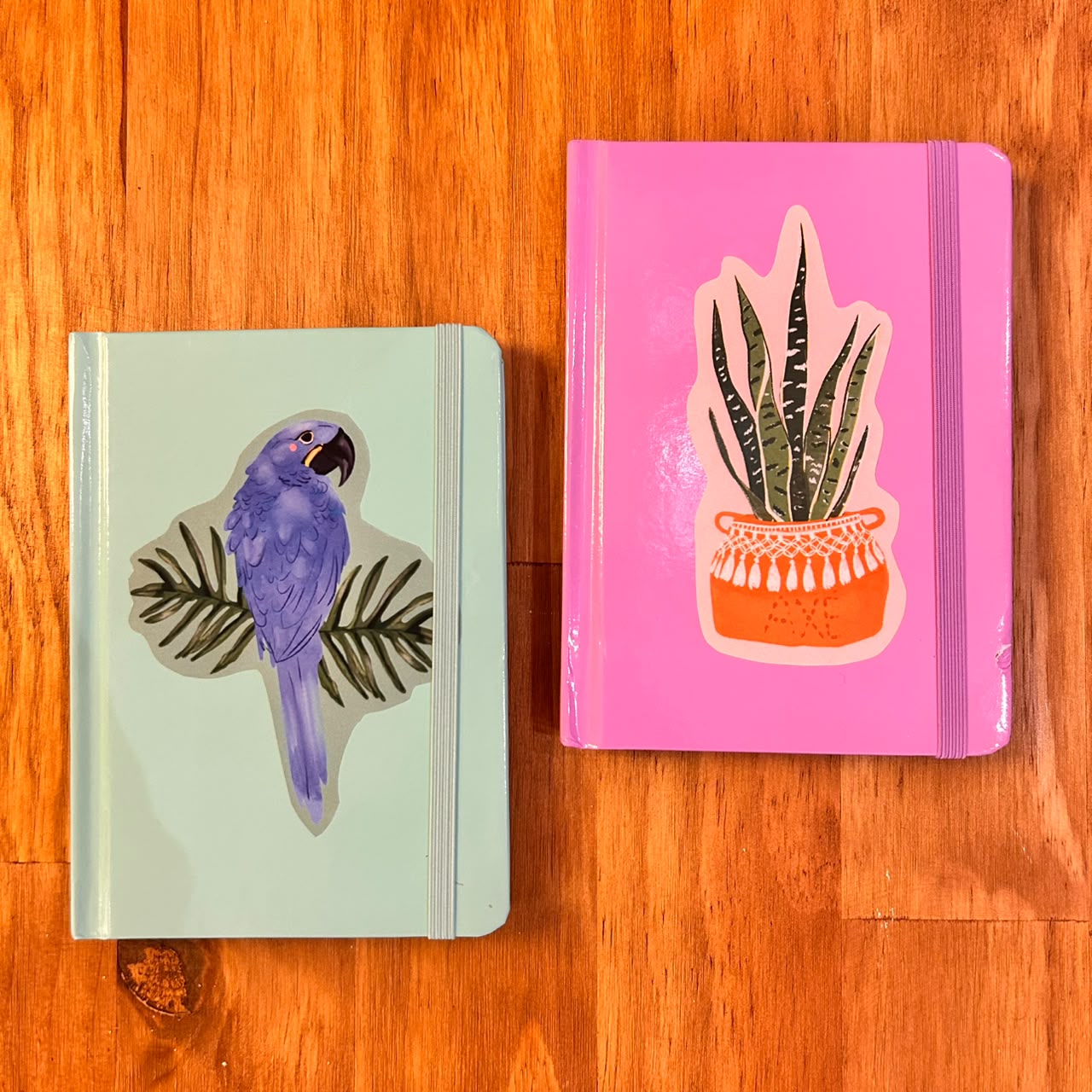 CAMILA ALEMANY CADERNO PEQUENO