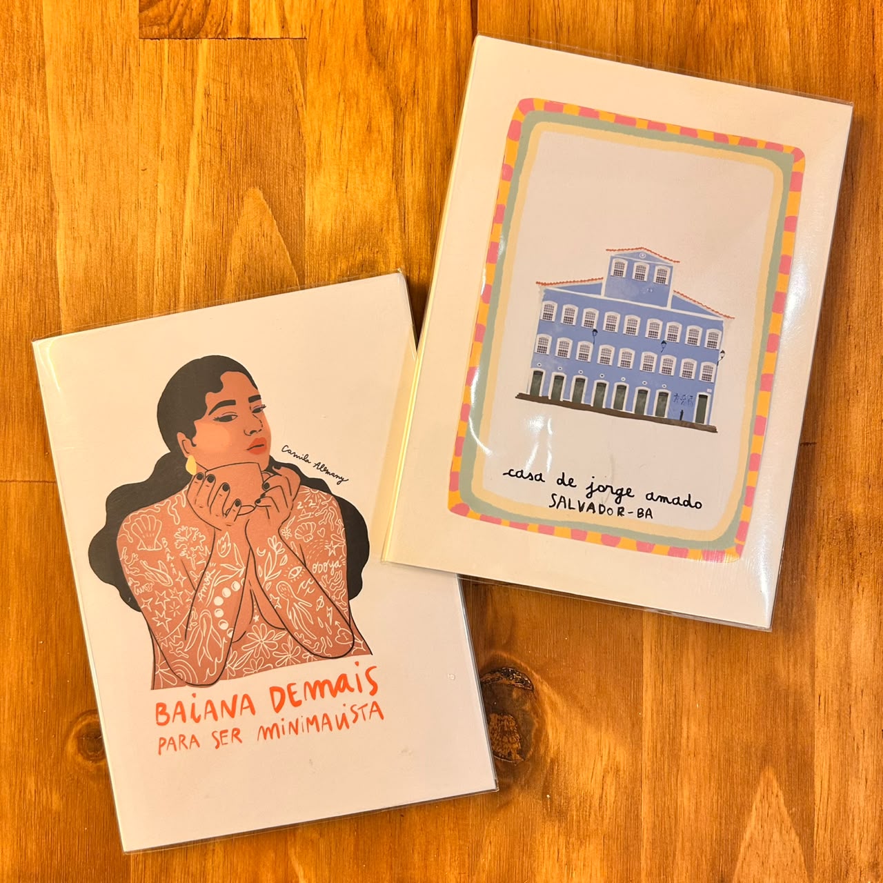 CAMILA ALEMANY CADERNO MÉDIO